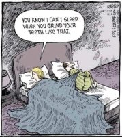 husband-wife-covers-teeth-grinding-chattering.jpg