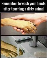 remember-to-wash-hands-after-touching-dirty-animal-dog-washing.jpg