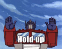 IMG_1358.gif