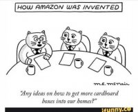 how-amazon-invented-cats-more-cardboard-boxes-into-homes.jpg