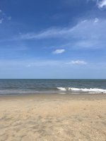 IMG_2919.jpeg