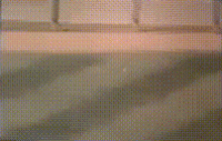 1684094748383.gif