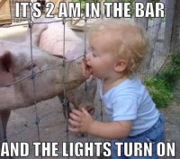 its-2am-in-bar-lights-turn-on-kissing-pig.jpg