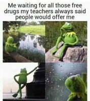 kermit-me-waiting-for-all-the-free-drugs-my-teacher-said-id-be-offered-1.jpg