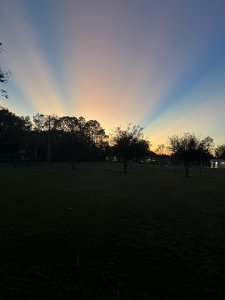 IMG_3813.jpeg