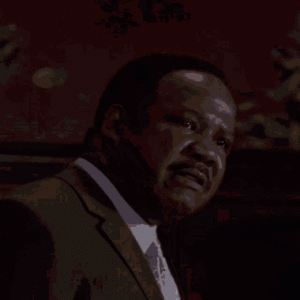 1686268349264.gif