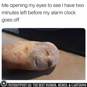 01H2G2P7JQB7WPNXZ9VVZ5JXK0.jpeg