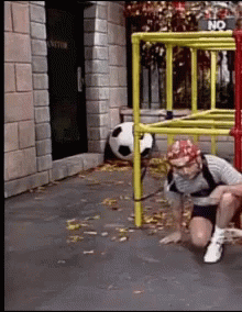 IMG_0379.gif