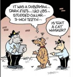 dog-crime-police-doberman-cat-whisker.jpg