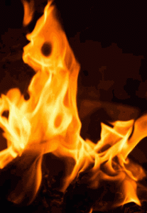 6AB84271-6C22-47B8-8C89-B56B5CE0CECD.gif