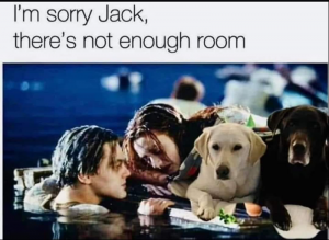 dog-sorry-jack-theres-not-enough-room.png