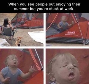 FB_IMG_1688244954080.jpg