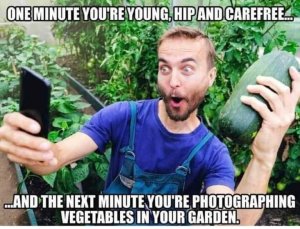 FB_IMG_1688268754214.jpg
