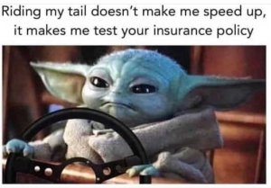 baby-yoda-riding-tail-doesnt-speed-up-test-your-insurance.jpg