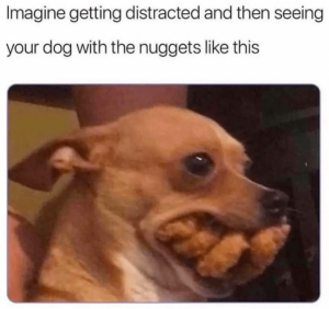 dog-imagine-getting-distracted-and-then-seeing-dog-with-nuggets-like-this.png
