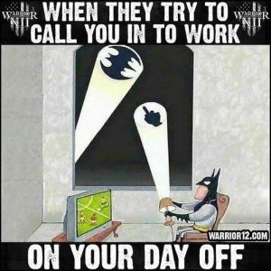 batman-called-into-work-day-off-bird-signal.jpg
