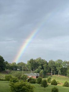 IMG_0462.jpeg