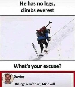 tweet-climbs-mount-everest-excuse-legs-hurt.jpg