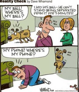 dog-ball-hidden-phone-separation.jpg