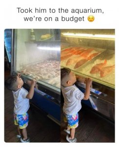FB_IMG_1690323184854.jpg