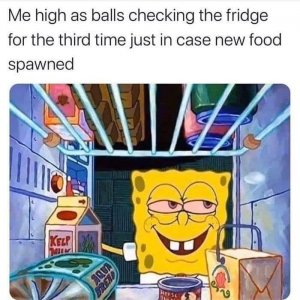 high-as-balls-checking-fridge-third-time-just-case-new-food-spawned-10-kelp-sale-aqua-brend.jpeg