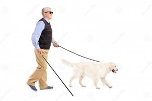 7A848978-0F6E-4BA8-9B13-C3946C3BF01B.jpeg