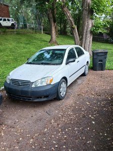 IMG_2746.jpeg IMG_2746.jpeg