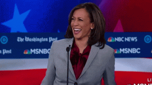 1691170542632.gif