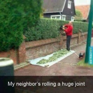 person-my-neighbors-rolling-huge-joint-distractify.jpeg
