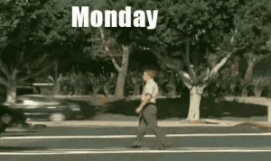IMG_7137.gif