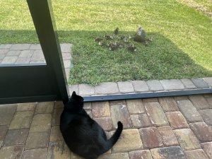 IMG_6917.jpeg