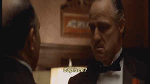 giphy (10).gif