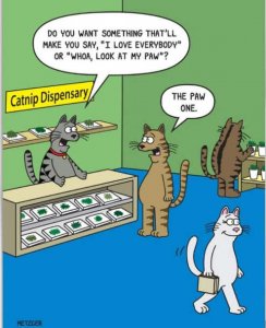 cat-dispensary-love-everybody-look-at-paw-catnip.jpg