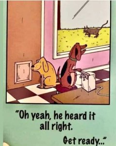 dogs-can-opener-trap-cat-heard-ready.jpg