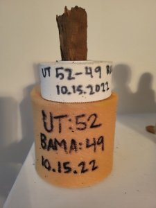 20230814_202825.jpg