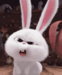 9A512EB2-C722-436E-821A-D30FBE55E14E.gif