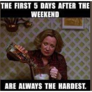 first-5-days-after-weekend-hardest-kitty-blender-alcohol.jpg