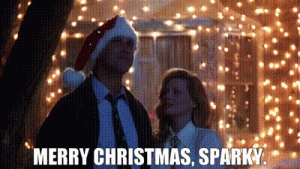 1bf60dff-da73-4130-bf2d-4a58c1a2ef8e_text.gif