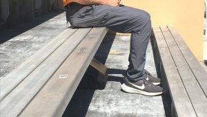 IMG_9353.jpeg IMG_9353.jpeg