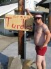 turtle.jpg