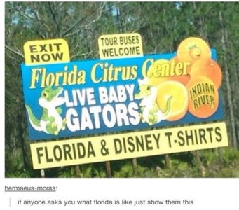7D74647F-E6E6-41AB-AFBB-A35A92B3F5C2.jpeg