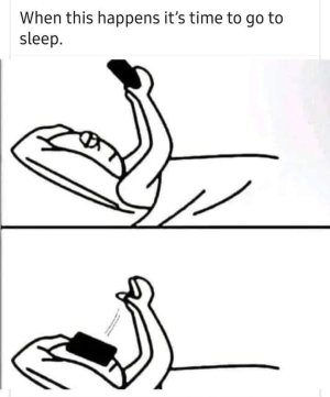 FB_IMG_1694234919661.jpg