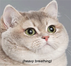 1694818514851.gif