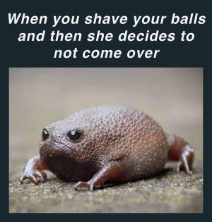 animal-shave-balls-and-then-she-decides-not-come-over.jpeg
