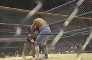idollawler3.gif
