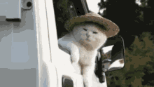 1696511644473.gif