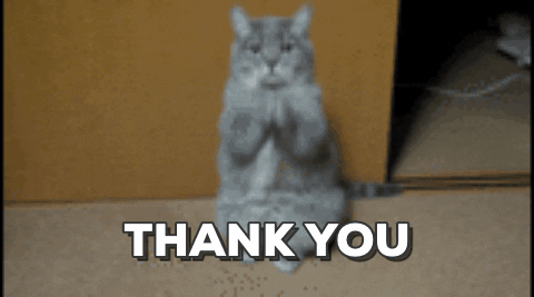 1697332484958.gif