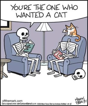 cat-decapitated-skeletons-wanted.jpg