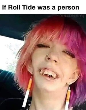 1697719067833.jpeg