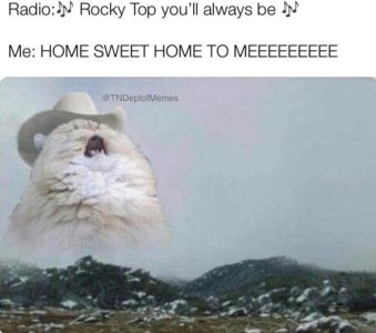 FED976FF-A455-4F5C-8025-C56E14F060FD.jpeg